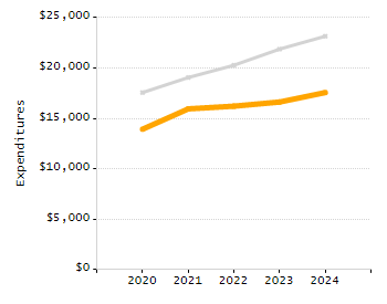 Organization Total Enrollment percentage chart