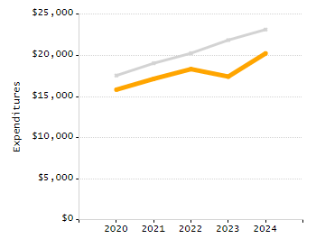 Organization Total Enrollment percentage chart