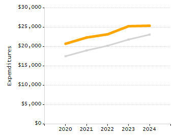 Percentage of school-aged residents enrolled in public school chart