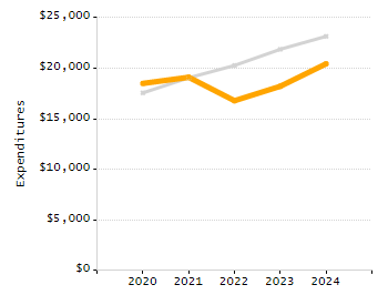 Percentage of school-aged residents enrolled in public school chart