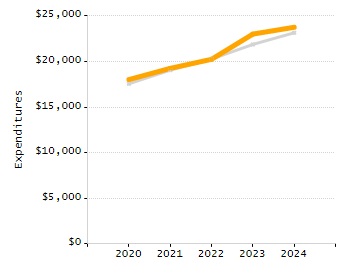 Organization Total Enrollment percentage chart
