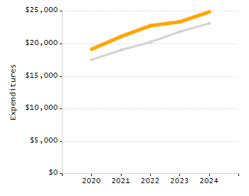 Organization Total Enrollment percentage chart