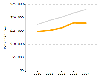 Organization Total Enrollment percentage chart