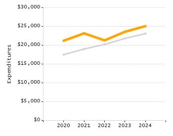Percentage of school-aged residents enrolled in public school chart
