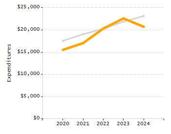 Organization Total Enrollment percentage chart