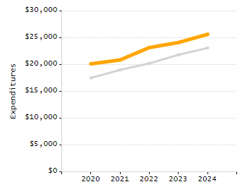 Organization Total Enrollment percentage chart
