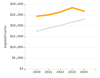 Percentage of school-aged residents enrolled in public school chart