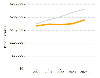 Percentage of school-aged residents enrolled in public school chart