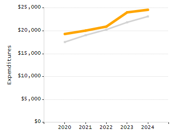 Percentage of school-aged residents enrolled in public school chart