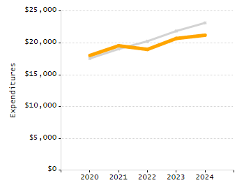 Percentage of school-aged residents enrolled in public school chart