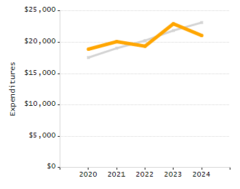 Organization Total Enrollment percentage chart