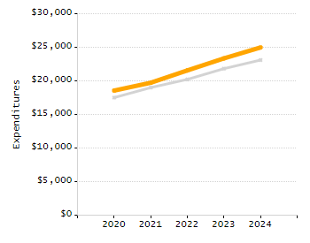 Organization Total Enrollment percentage chart