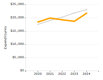 Percentage of school-aged residents enrolled in public school chart