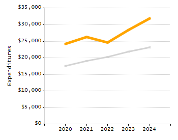 Percentage of school-aged residents enrolled in public school chart
