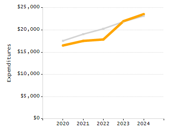 Percentage of school-aged residents enrolled in public school chart