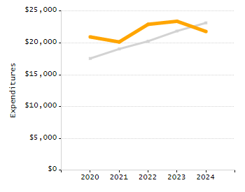Organization Total Enrollment percentage chart