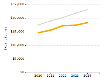 Percentage of school-aged residents enrolled in public school chart