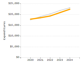 Organization Total Enrollment percentage chart
