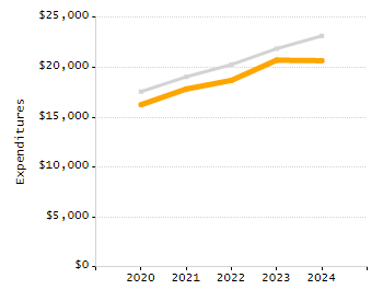 Percentage of school-aged residents enrolled in public school chart