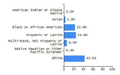 Bar chart showing student race and ethnicity percentages. White: 42.5%, Native Hawaiian or Other Pacific Islander: 0.4%, Multi-Race, Not Hispanic or Latino: 6.4%, Hispanic or Latino: 24.6%, Black or African American: 22.9%, Asian: 2.8%, American Indian or Alaska Native: 0.3%.