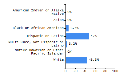 Bar chart showing student race and ethnicity percentages. White: 43.3%, Native Hawaiian or Other Pacific Islander: 0%, Multi-Race, Not Hispanic or Latino: 3.2%, Hispanic or Latino: 47%, Black or African American: 6.4%, Asian: 0%, American Indian or Alaska Native: 0%.