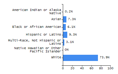 Bar chart showing student race and ethnicity percentages. White: 52.8%, Native Hawaiian or Other Pacific Islander: 0%, Multi-Race, Not Hispanic or Latino: 7.8%, Hispanic or Latino: 8.5%, Black or African American: 1.9%, Asian: 28.8%, American Indian or Alaska Native: 0.2%.