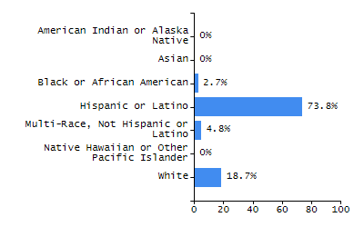 Bar chart showing student race and ethnicity percentages. White: 66.6%, Native Hawaiian or Other Pacific Islander: 0.2%, Multi-Race, Not Hispanic or Latino: 6.8%, Hispanic or Latino: 22.2%, Black or African American: 3.1%, Asian: 1.1%, American Indian or Alaska Native: 0.1%.