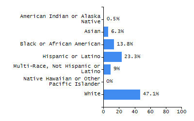 Bar chart showing student race and ethnicity percentages. White: 58.1%, Native Hawaiian or Other Pacific Islander: 0%, Multi-Race, Not Hispanic or Latino: 2.1%, Hispanic or Latino: 18.6%, Black or African American: 9.7%, Asian: 11.3%, American Indian or Alaska Native: 0.3%.