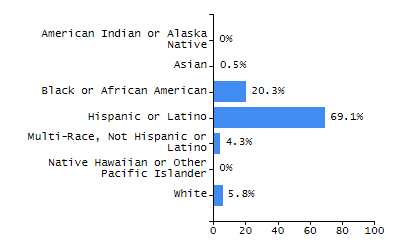 Bar chart showing student race and ethnicity percentages. White: 47.6%, Native Hawaiian or Other Pacific Islander: 0%, Multi-Race, Not Hispanic or Latino: 5.6%, Hispanic or Latino: 39.9%, Black or African American: 5.2%, Asian: 0%, American Indian or Alaska Native: 1.7%.