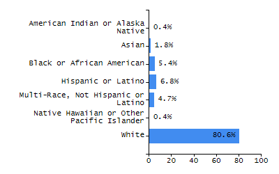 Bar chart showing selected student populations. Students with Disabilities: 20.3%, Low Income: 13%, First Language Not English: 43.4%, English Learners: 15.2%, High Needs: 34.9%.