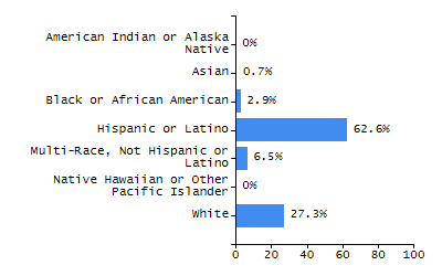 Bar chart showing student race and ethnicity percentages. White: 90.7%, Native Hawaiian or Other Pacific Islander: 0.3%, Multi-Race, Not Hispanic or Latino: 4.4%, Hispanic or Latino: 2.7%, Black or African American: 1.4%, Asian: 0.3%, American Indian or Alaska Native: 0.3%.