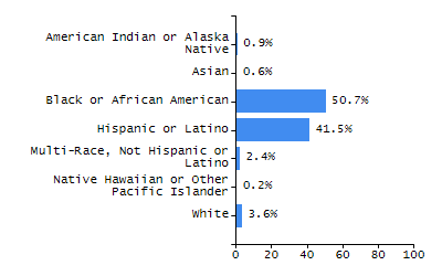 Bar chart showing student race and ethnicity percentages. White: 3.6%, Native Hawaiian or Other Pacific Islander: 0.2%, Multi-Race, Not Hispanic or Latino: 2.4%, Hispanic or Latino: 41.5%, Black or African American: 50.7%, Asian: 0.6%, American Indian or Alaska Native: 0.9%.