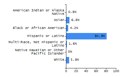 Bar chart showing student race and ethnicity percentages. White: 75.9%, Native Hawaiian or Other Pacific Islander: 0.5%, Multi-Race, Not Hispanic or Latino: 2.8%, Hispanic or Latino: 7.8%, Black or African American: 3.3%, Asian: 9.5%, American Indian or Alaska Native: 0.2%.