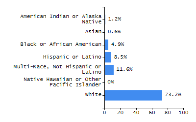 Bar chart showing student race and ethnicity percentages. White: 41.2%, Native Hawaiian or Other Pacific Islander: 0.1%, Multi-Race, Not Hispanic or Latino: 4.4%, Hispanic or Latino: 41.7%, Black or African American: 9.9%, Asian: 2.6%, American Indian or Alaska Native: 0.2%.