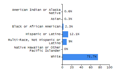 Bar chart showing selected student populations. High Needs: 45.9%, Low Income: 31.5%, Students with Disabilities: 19.8%, First Language Not English: 19%, English Learners: 6.5%.