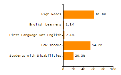 Bar chart showing student race and ethnicity percentages. White: 54.4%, Native Hawaiian or Other Pacific Islander: 0%, Multi-Race, Not Hispanic or Latino: 4.8%, Hispanic or Latino: 5.9%, Black or African American: 6.2%, Asian: 28.4%, American Indian or Alaska Native: 0.2%.