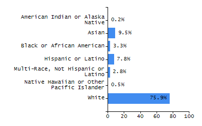 Bar chart showing student race and ethnicity percentages. White: 75.9%, Native Hawaiian or Other Pacific Islander: 0.5%, Multi-Race, Not Hispanic or Latino: 2.8%, Hispanic or Latino: 7.8%, Black or African American: 3.3%, Asian: 9.5%, American Indian or Alaska Native: 0.2%.