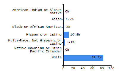 Bar chart showing student race and ethnicity percentages. White: 77.3%, Native Hawaiian or Other Pacific Islander: 0%, Multi-Race, Not Hispanic or Latino: 2.9%, Hispanic or Latino: 10.8%, Black or African American: 6.8%, Asian: 1.6%, American Indian or Alaska Native: 0.5%.