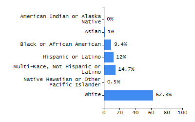 Bar chart showing student race and ethnicity percentages. White: 71.6%, Native Hawaiian or Other Pacific Islander: 0.1%, Multi-Race, Not Hispanic or Latino: 5.2%, Hispanic or Latino: 10.4%, Black or African American: 6.7%, Asian: 5.9%, American Indian or Alaska Native: 0%.