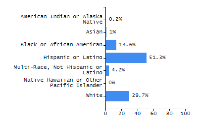 Bar chart showing student race and ethnicity percentages. White: 29.7%, Native Hawaiian or Other Pacific Islander: 0%, Multi-Race, Not Hispanic or Latino: 4.2%, Hispanic or Latino: 51.3%, Black or African American: 13.6%, Asian: 1%, American Indian or Alaska Native: 0.2%.