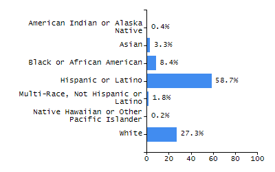 Bar chart showing selected student populations. Students with Disabilities: 19.9%, Low Income: 43.8%, First Language Not English: 6.5%, English Learners: 3.9%, High Needs: 53.3%.