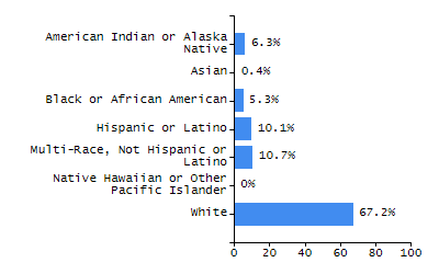 Bar chart showing student race and ethnicity percentages. White: 86.3%, Native Hawaiian or Other Pacific Islander: 0%, Multi-Race, Not Hispanic or Latino: 2.7%, Hispanic or Latino: 5.7%, Black or African American: 3%, Asian: 1.9%, American Indian or Alaska Native: 0.4%.