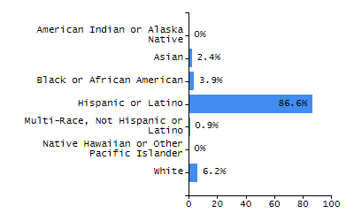 Bar chart showing student race and ethnicity percentages. White: 4.1%, Native Hawaiian or Other Pacific Islander: 0%, Multi-Race, Not Hispanic or Latino: 1%, Hispanic or Latino: 86.6%, Black or African American: 6.2%, Asian: 0.5%, American Indian or Alaska Native: 1.5%.