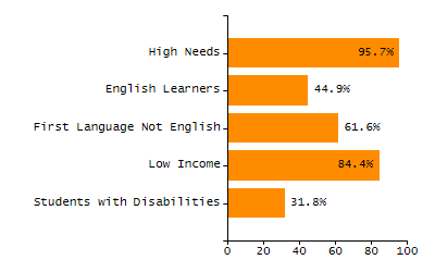 Bar chart showing student race and ethnicity percentages. White: 30.8%, Native Hawaiian or Other Pacific Islander: 0%, Multi-Race, Not Hispanic or Latino: 6.5%, Hispanic or Latino: 7.3%, Black or African American: 4.3%, Asian: 51.1%, American Indian or Alaska Native: 0%.