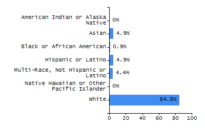 Bar chart showing student race and ethnicity percentages. White: 30.5%, Native Hawaiian or Other Pacific Islander: 0%, Multi-Race, Not Hispanic or Latino: 10.2%, Hispanic or Latino: 16.3%, Black or African American: 16.9%, Asian: 25.6%, American Indian or Alaska Native: 0.4%.