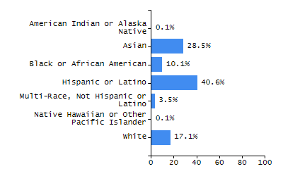 Bar chart showing student race and ethnicity percentages. White: 17.1%, Native Hawaiian or Other Pacific Islander: 0.1%, Multi-Race, Not Hispanic or Latino: 3.5%, Hispanic or Latino: 40.6%, Black or African American: 10.1%, Asian: 28.5%, American Indian or Alaska Native: 0.1%.