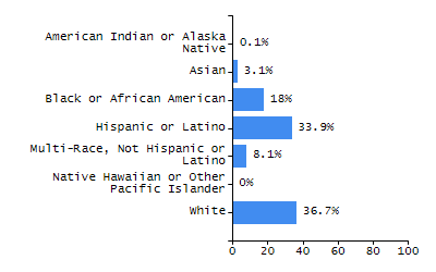 Bar chart showing student race and ethnicity percentages. White: 81.2%, Native Hawaiian or Other Pacific Islander: 0%, Multi-Race, Not Hispanic or Latino: 8.5%, Hispanic or Latino: 7.7%, Black or African American: 1.7%, Asian: 0.9%, American Indian or Alaska Native: 0%.