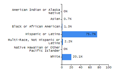 Bar chart showing selected student populations. Students with Disabilities: 10.2%, Low Income: 10.3%, First Language Not English: 32.1%, English Learners: 2.3%, High Needs: 23.8%.
