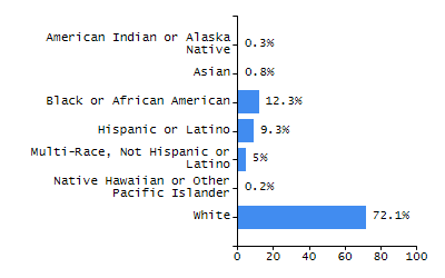 Bar chart showing student race and ethnicity percentages. White: 81.7%, Native Hawaiian or Other Pacific Islander: 0.1%, Multi-Race, Not Hispanic or Latino: 2.3%, Hispanic or Latino: 7.7%, Black or African American: 4.4%, Asian: 3.7%, American Indian or Alaska Native: 0.2%.