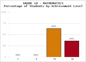 GRADE 10 - MATHEMATICS - Percentage of Students by Achievement Level by year